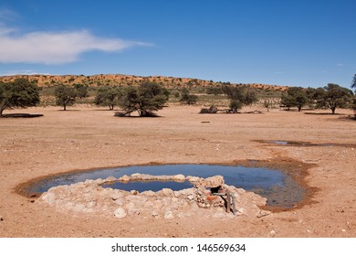 Water Hole For Animals In The Desert Landscape Trees