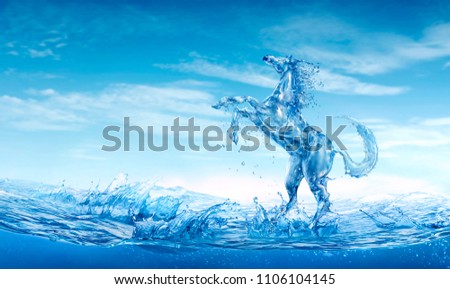 Water horse out of water splashes and foam. 