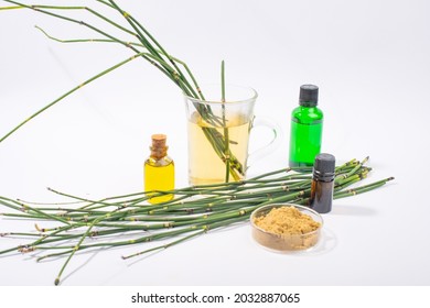 Water Horsetail Herb, Horsetail Oil, Extract And Glass Of Tea On White Background.