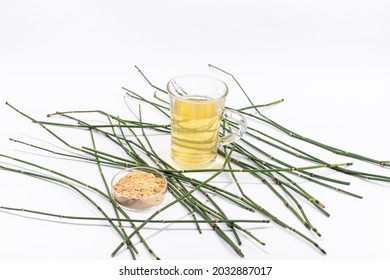 Water Horsetail Plant, Horsetail Extract And Tea.