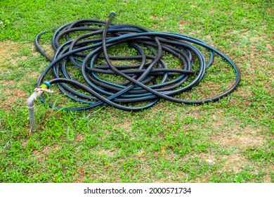 Water Hose Green Grass Wet Summer Stock Photo 2000571734 | Shutterstock