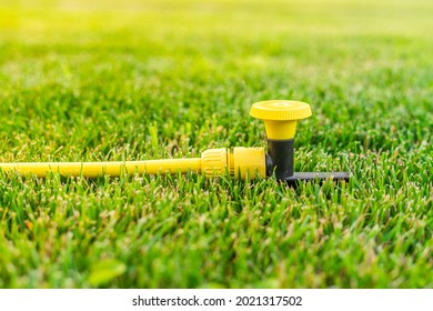 Water Hose Supply To A Sprinkler Installed In A Green Grass Lawn