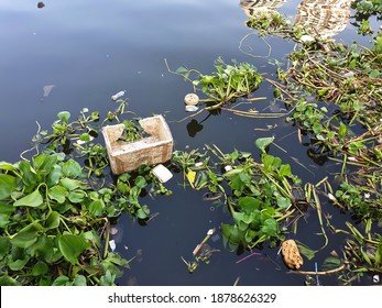 Water hyacinths and dirty plastic and styrofoam boxes float in rotten rivers or canals. Garbage pollutes waterways and causes blockages and can lead to flooding.