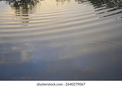 Water image, water background, water movement, waves, reflection, sky, sky reflection, grey, clouds, sky on water, abstract, nature
