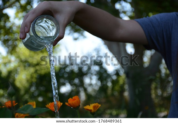 water jar in floral\
garden