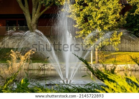 water jet in a park fountain 