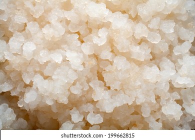 Water Kefir Grains