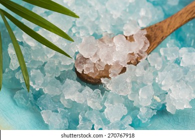 Water Kefir Grains