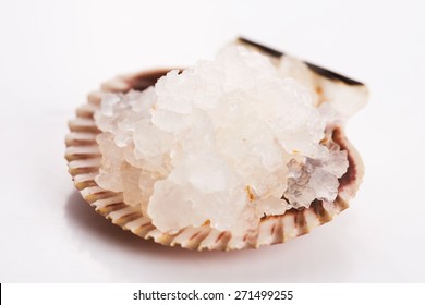 Water Kefir Grains