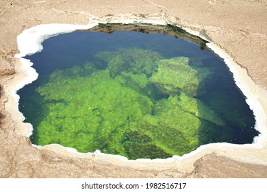 Water Of Lake Karum In The Danakil Depression, Ethiopia