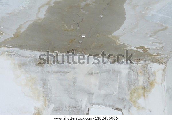 Water Leak On Ceiling Stock Photo Edit Now 1102436066