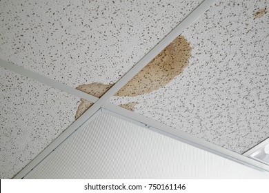 Imagenes Fotos De Stock Y Vectores Sobre Wet Ceiling Tile