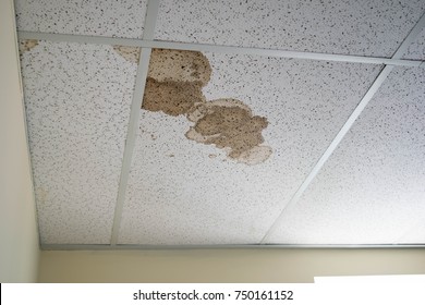 Imagenes Fotos De Stock Y Vectores Sobre Wet Ceiling Tile