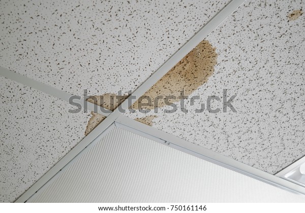 Water Leak On Ceiling Tiles Damaged Stock Photo Edit Now