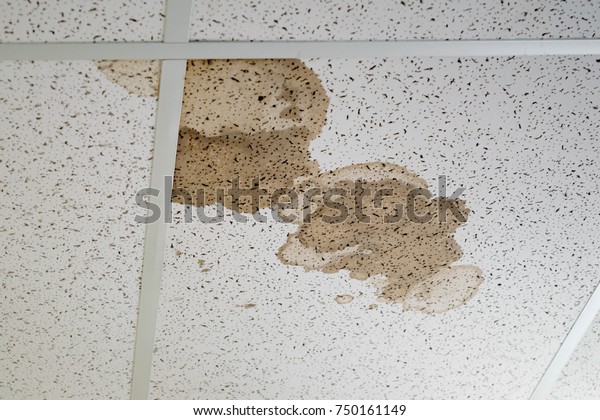 Water Leak On Ceiling Tiles Damaged Stock Photo Edit Now