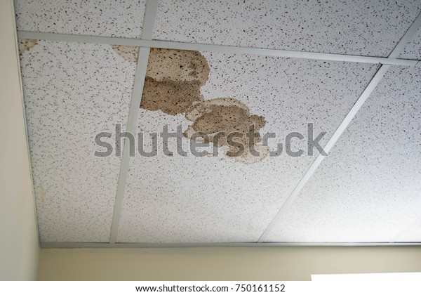 Water Leak On Ceiling Tiles Damaged Stock Photo Edit Now