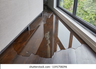 Water leaking and flooded on wood parquet floor. Room floor will damage after the water flooded. - Shutterstock ID 1191758296