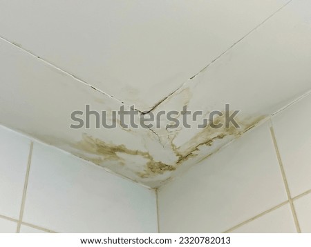Water is leaking through the ceiling from upper floor. Ceiling water damage. Upstairs leak concept. Selective focus. Noise and grain included.