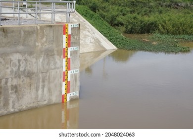 Water Level Indicator At Concrete Wall Of Water Gate For Monitoring Support Agriculture. Trees And Dam Background. Level Indicator, Water Gate, Water Management, Saving Environment Concept.