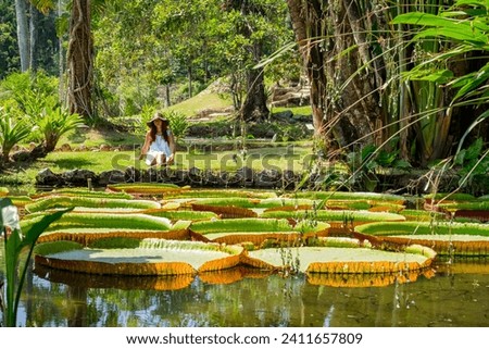 water lilies floating in a calm lake, with a woman sitting relaxed in the background, Bucolic scene that conveys peace, serenity and connection with nature and a pleasant feeling of calm and stillness