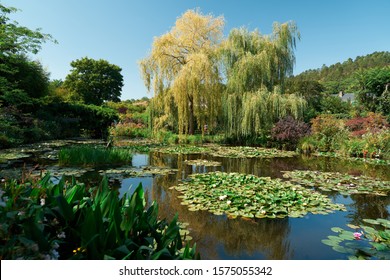 Water Lilies In The Garden Of Claude Monet, Giverny, France