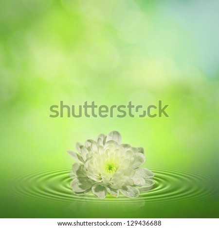 Similar – Image, Stock Photo unfold Aquatic plant