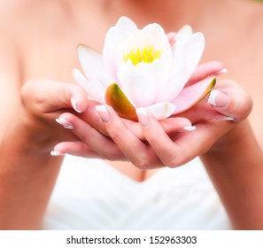 Water lily flower in woman hands