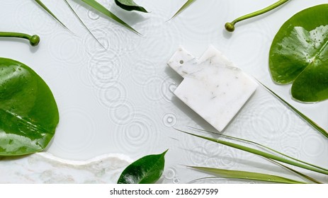 Water Lily Leaves And Buds On Off White Background. Mockup With Place For Product On Marble Board. Natural Sunlight, Long Shadows. Flat Lay With Splashes Of Water.