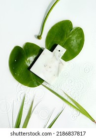 Water Lily Leaves And Buds On Off White Background. Mockup With Place For Product On Marble Board. Natural Sunlight, Long Shadows. Flat Lay With Splashes Of Water.