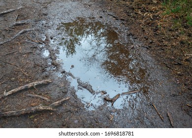 33,988 Mud Puddle Stock Photos, Images & Photography | Shutterstock
