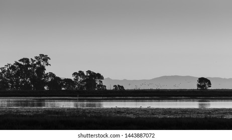 Water in its many forms