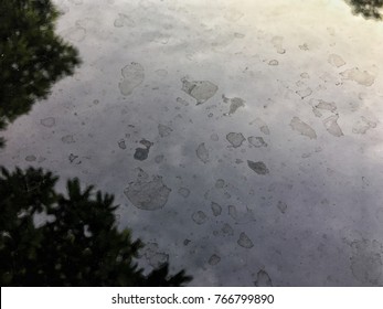 Water mark or water spot is on the car surface