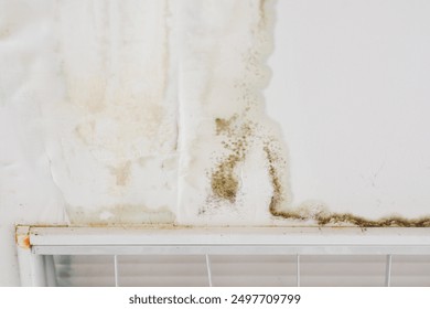 water marks on the ceiling