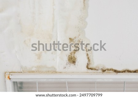 water marks on the ceiling