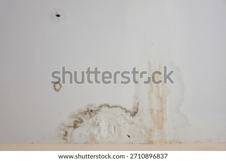 water marks on the ceiling