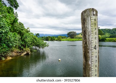 Water Measure Wood At Famous River And Rainforest In Queensland, Australia