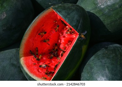 Water Melon With Honey Bees. Cut Fruit Displayed To Show Its Color,  Texture And Sweetness For People To Buy.