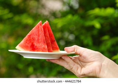 water melon slice on dish in environment