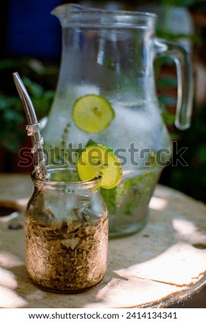 Water tereré with mint leaves and lemon slices on rustic table, enjoying a refreshing drink outdoors with plants around.