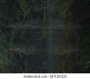 water mirror in the forest - Shutterstock ID 1871107222