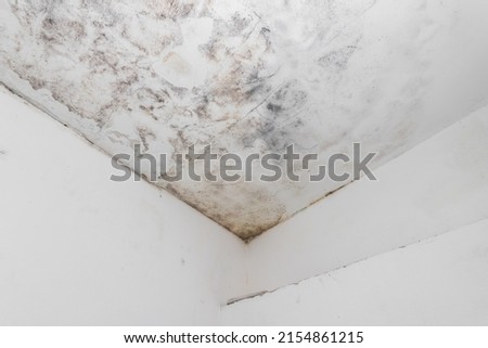 Water and mold  stain on the home ceiling. Concept of condensation, damp, water infiltration, high humidity and respiratory problems.