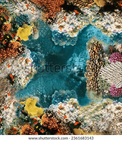 water nature fish sea coral egypt red sea Underwater world top view corals self-leveling floors 3d floor nature