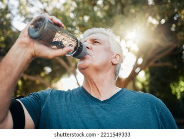 Water, Nature Fitness And Senior Man Training For Health In A Park For Body Health In Summer. Elderly Athlete Or Runner With Drink After Cardio Workout, Running Or Outdoor Sports Exercise