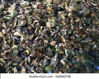 Water On Creek Bed