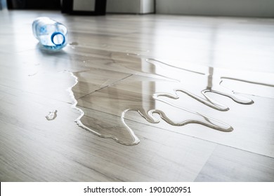 Water On House Floor Surface. Laminate Damage - Shutterstock ID 1901020951