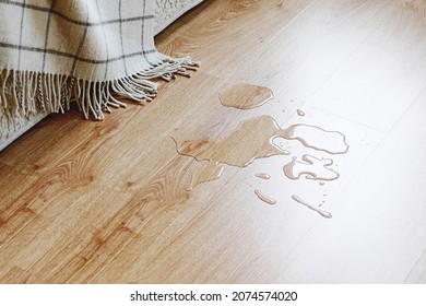 Water on the laminated floor in the living room - Shutterstock ID 2074574020