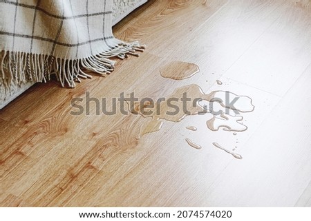 Water on the laminated floor in the living room