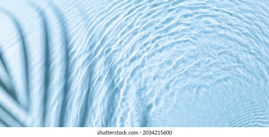 Water Panoramic Banner Background. Blue Aqua Texture, Surface Of Ripples, Rings, Transparent, Palm Leaf Shadows And Sunlight. Spa Concept Background. Flat Lay, Top View, Copy Space