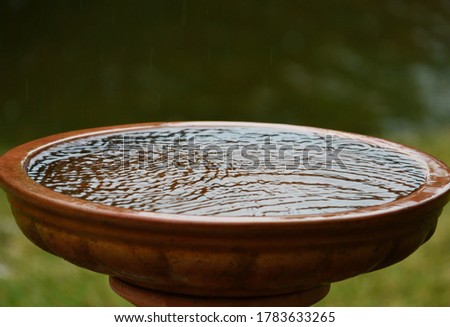 water patterns in old birdbath