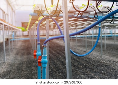 Water Pipe Valve Of Supply Watering System In Hydroponic Farm Plant Nursery Greenhouse.